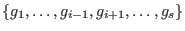 $\{g_1,\dots,g_{i-1},g_{i+1},\dots,g_s\}$