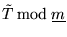 $ \tilde T \, \mbox{mod} \; \underline{m} $