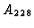 $ A_{228}$